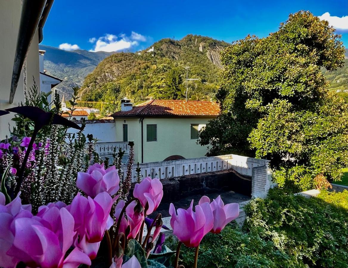 Hotel Casa Alpha Vittorio Veneto Exterior foto